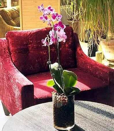 Hotel Orchidee Paris
